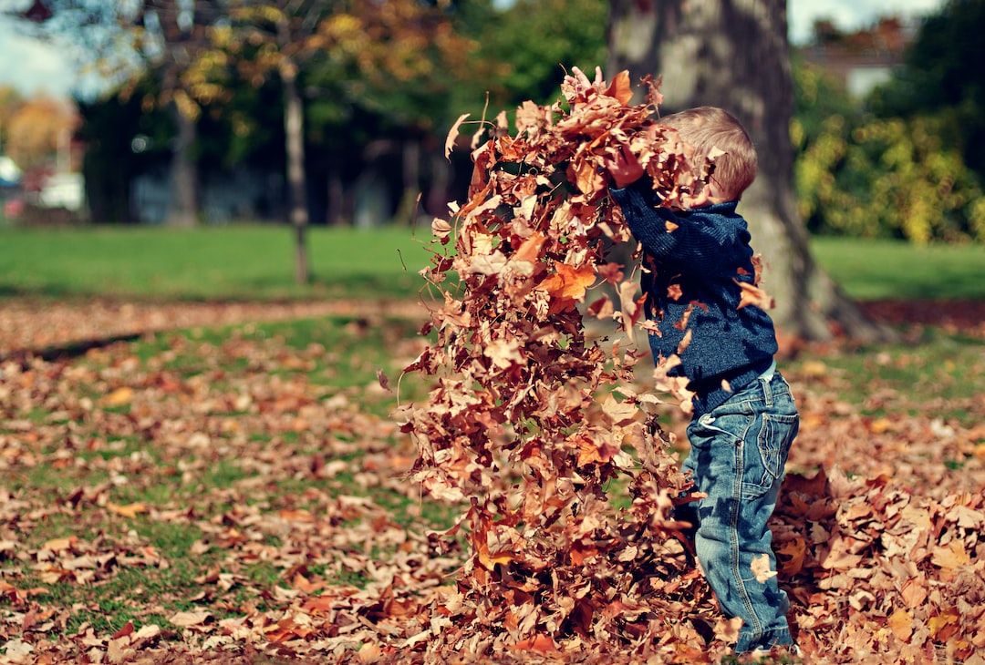 child playing with dried leaves obKbq4Z3cuA jpg